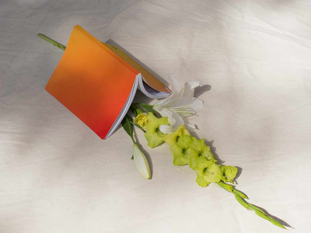 Ways to Think About Well-Being: In Conversation with Dr. Dan Tomasulo Part One