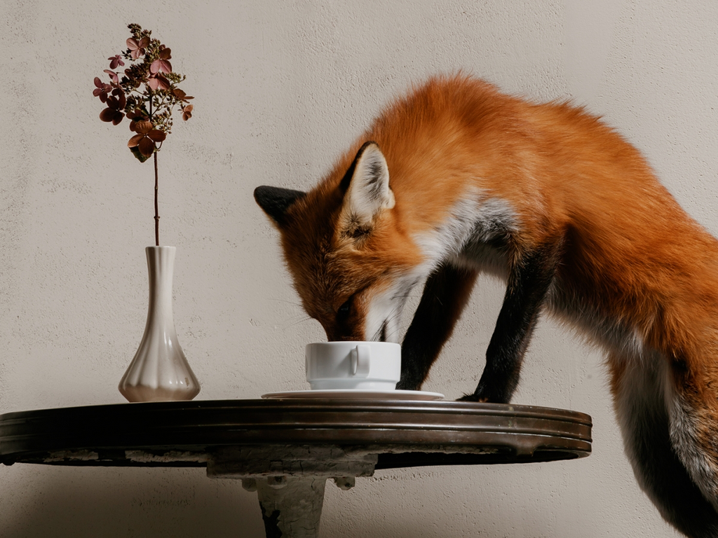 Everyday Rituals with a Creative Director Who Reads Library Books to Switch Off