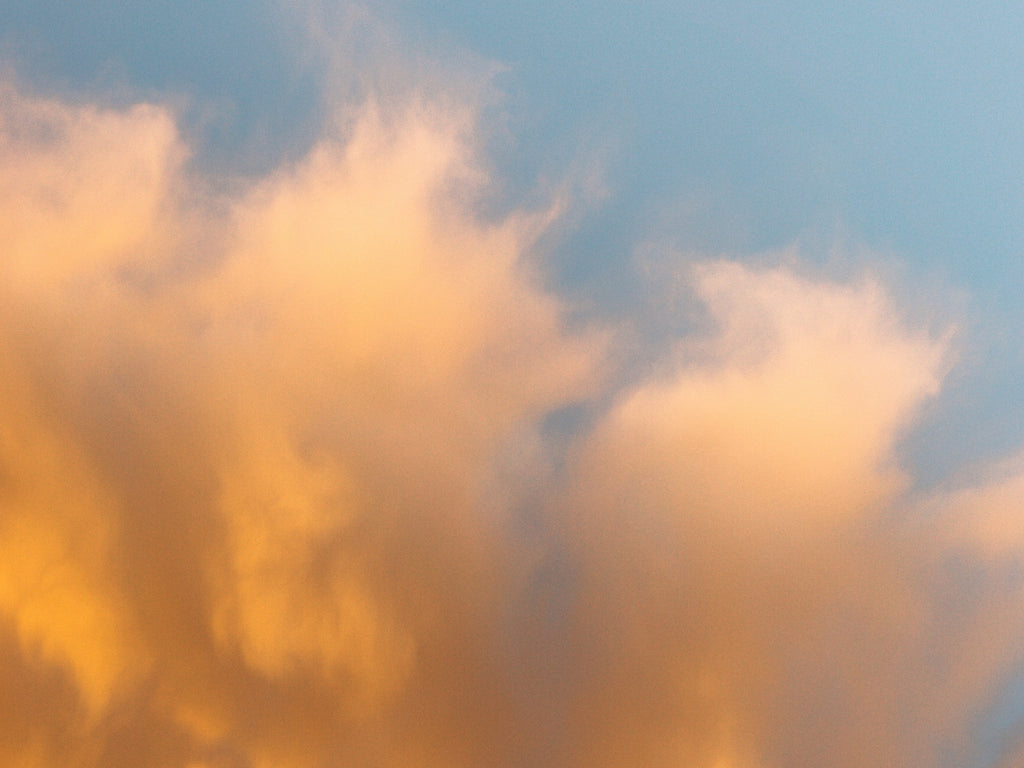 What's Actually Activating Through Your Activism?